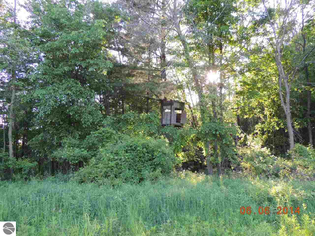 3070 South Warner Road Middleton, MI 48856 - Photo 25 of 36 1785781-24.JPG