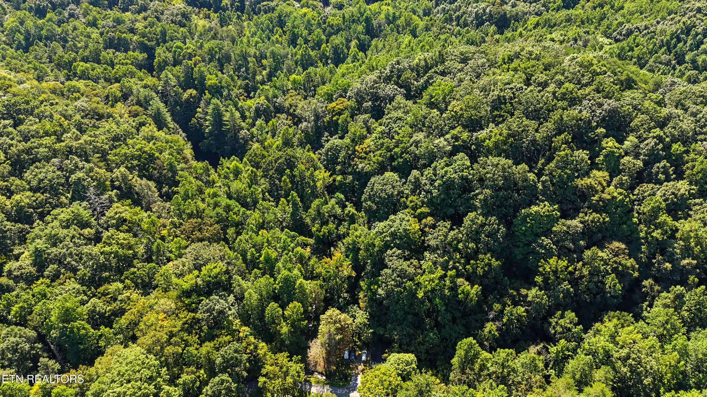 Tract 2-r-3 Cold Springs Road Walland, TN 37886 - Photo 6 of 17 DJI_20260824112210_0144_D-2