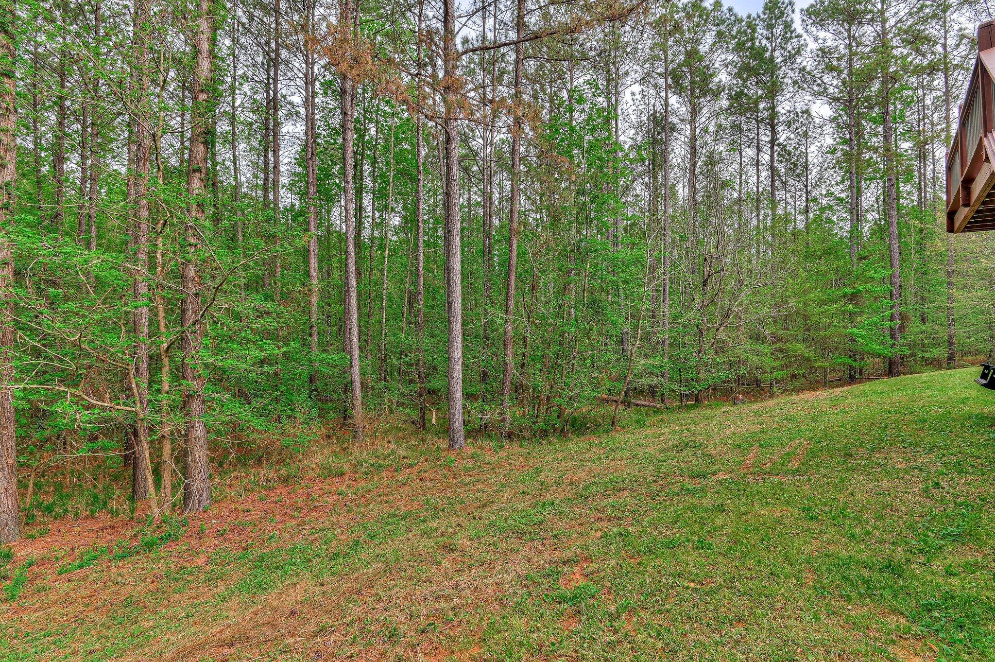 1067 Maiden Cane Way Lincolnton, GA 30817 - Photo 43 of 43 143
