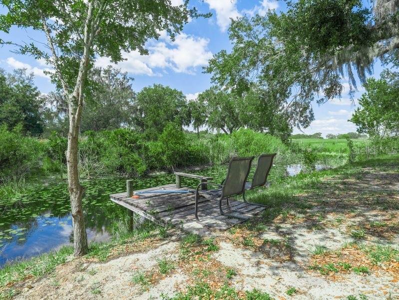 1850 South Lake Reedy Boulevard Frostproof, FL 33843 - Photo 28 of 36 a view of backyard with trees