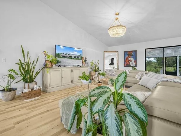 a living room with furniture chandelier and a potted plant