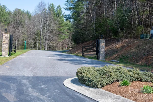 a view of a street with a trees