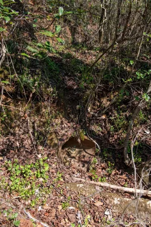 a backyard of a building