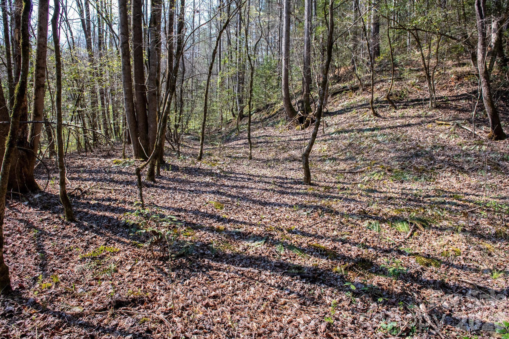 Tbd Tbd Ritter Ridge Lane, Unit 27 Hudson, NC 28638 - Photo 23 of 43 a view of a forest with trees