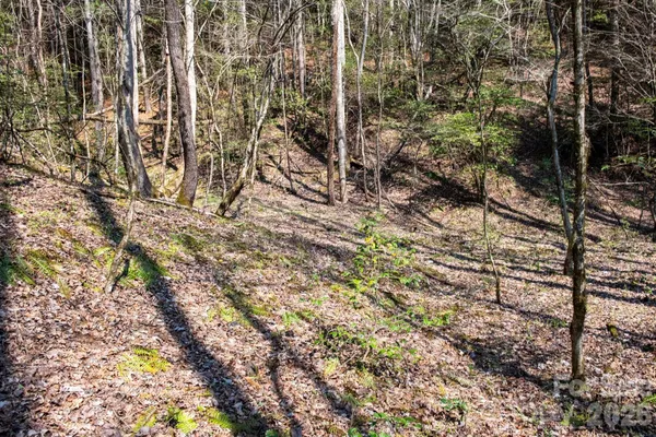 a view of outdoor space with green space