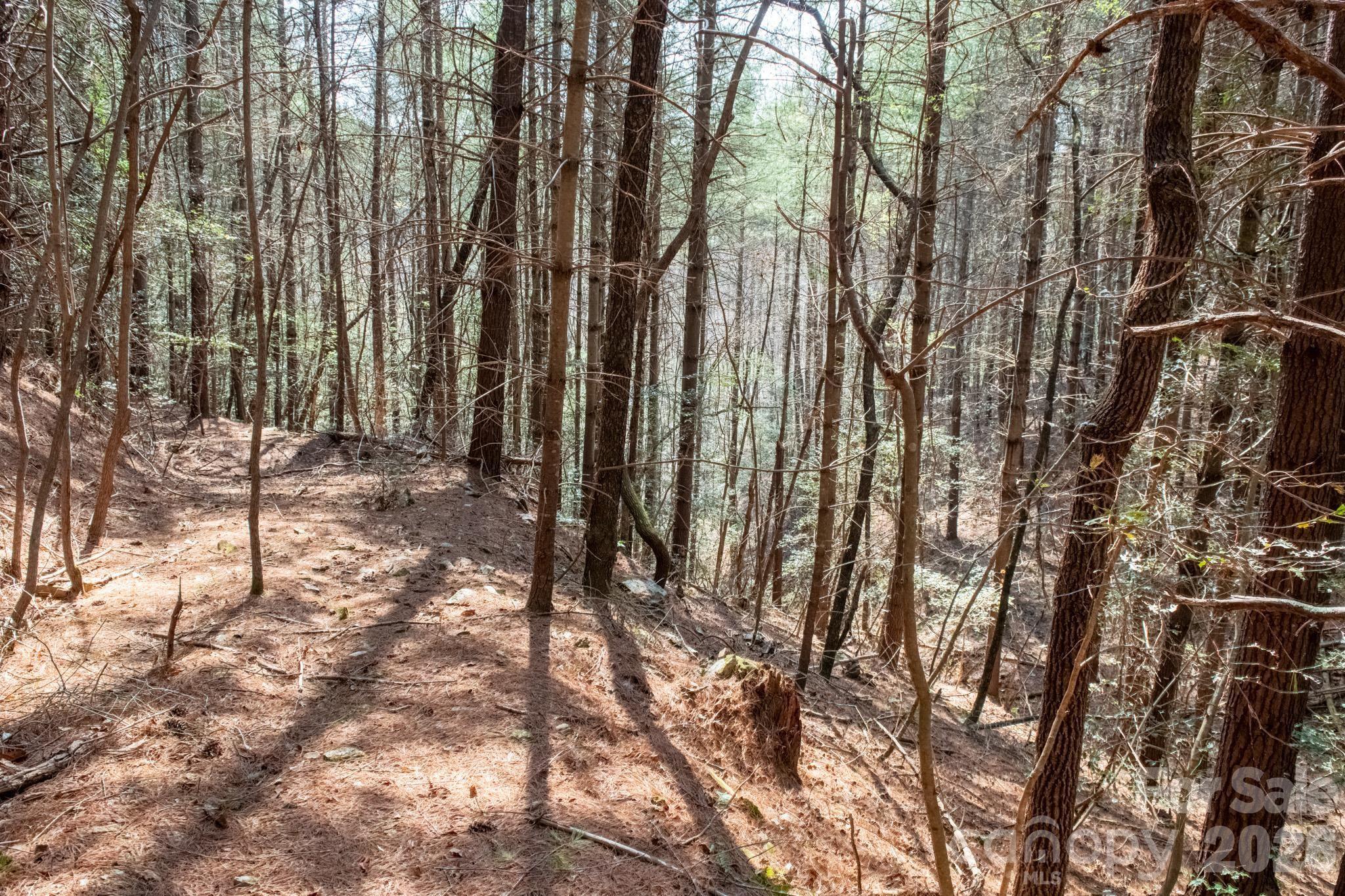 Tbd Tbd Ritter Ridge Lane, Unit 27 Hudson, NC 28638 - Photo 29 of 43 a view of outdoor space with lots of trees