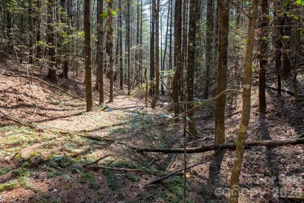 a view of outdoor space with trees