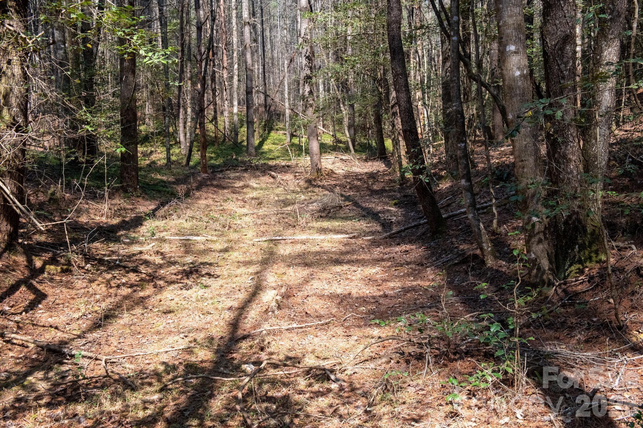 Tbd Tbd Ritter Ridge Lane, Unit 27 Hudson, NC 28638 - Photo 33 of 43 a view of backyard with tree