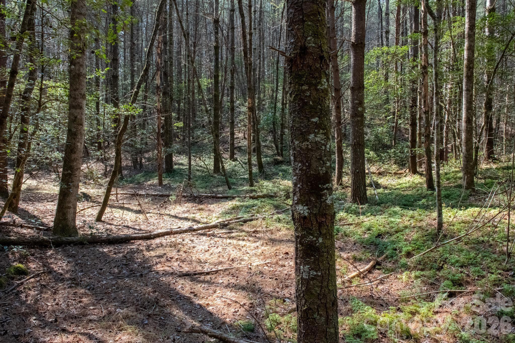Tbd Tbd Ritter Ridge Lane, Unit 27 Hudson, NC 28638 - Photo 34 of 43
