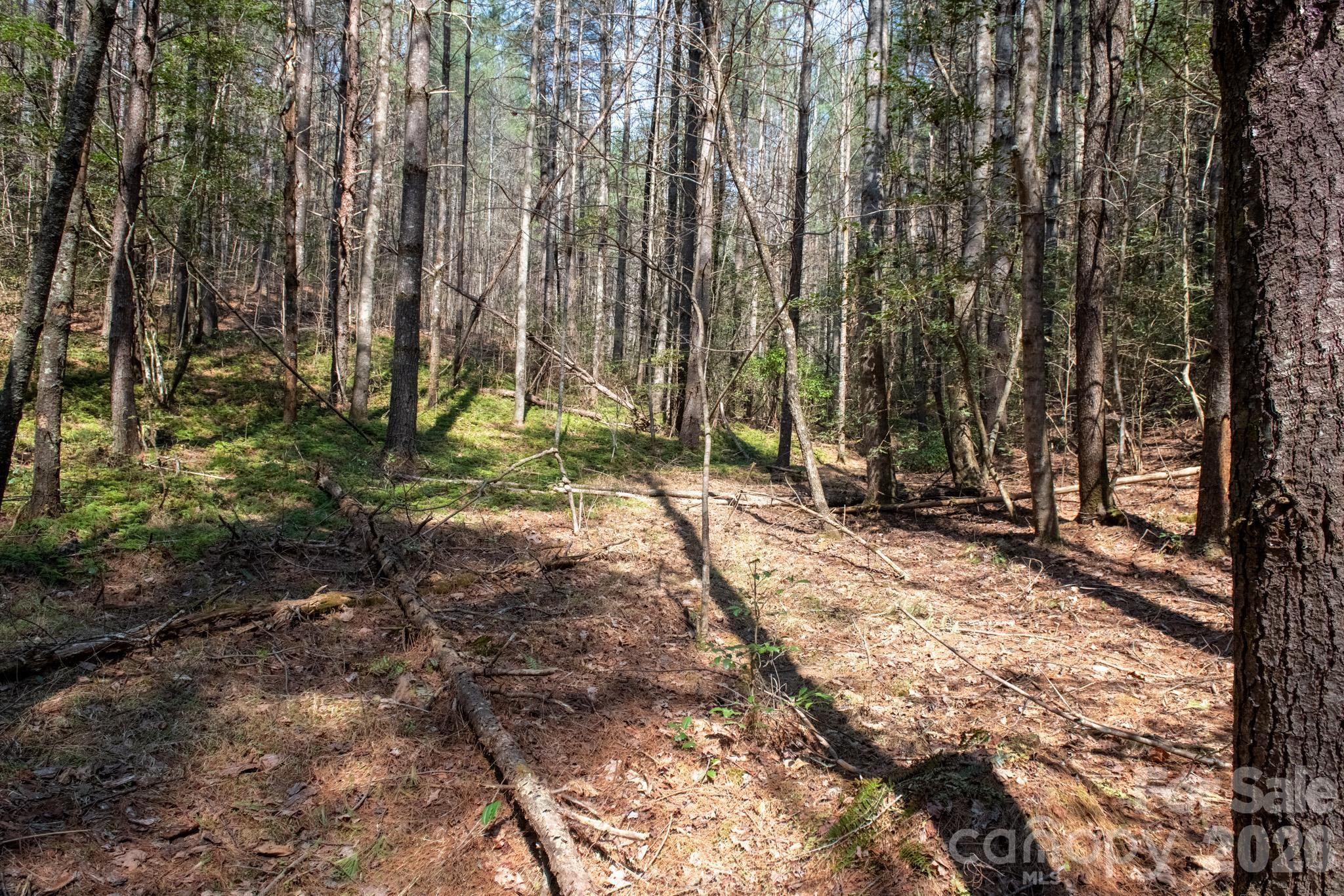 Tbd Tbd Ritter Ridge Lane, Unit 27 Hudson, NC 28638 - Photo 37 of 43 a view of backyard with trees