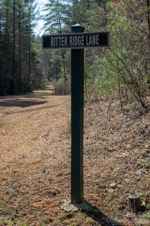 a view of a yard with trees in the background