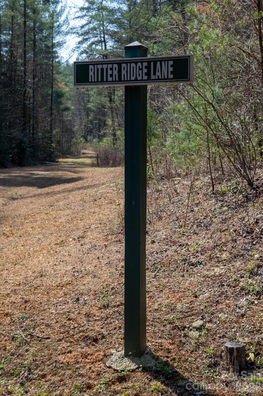 Tbd Tbd Ritter Ridge Lane, Unit 27 Hudson, NC 28638 - Photo 40 of 43 a view of a wooden door