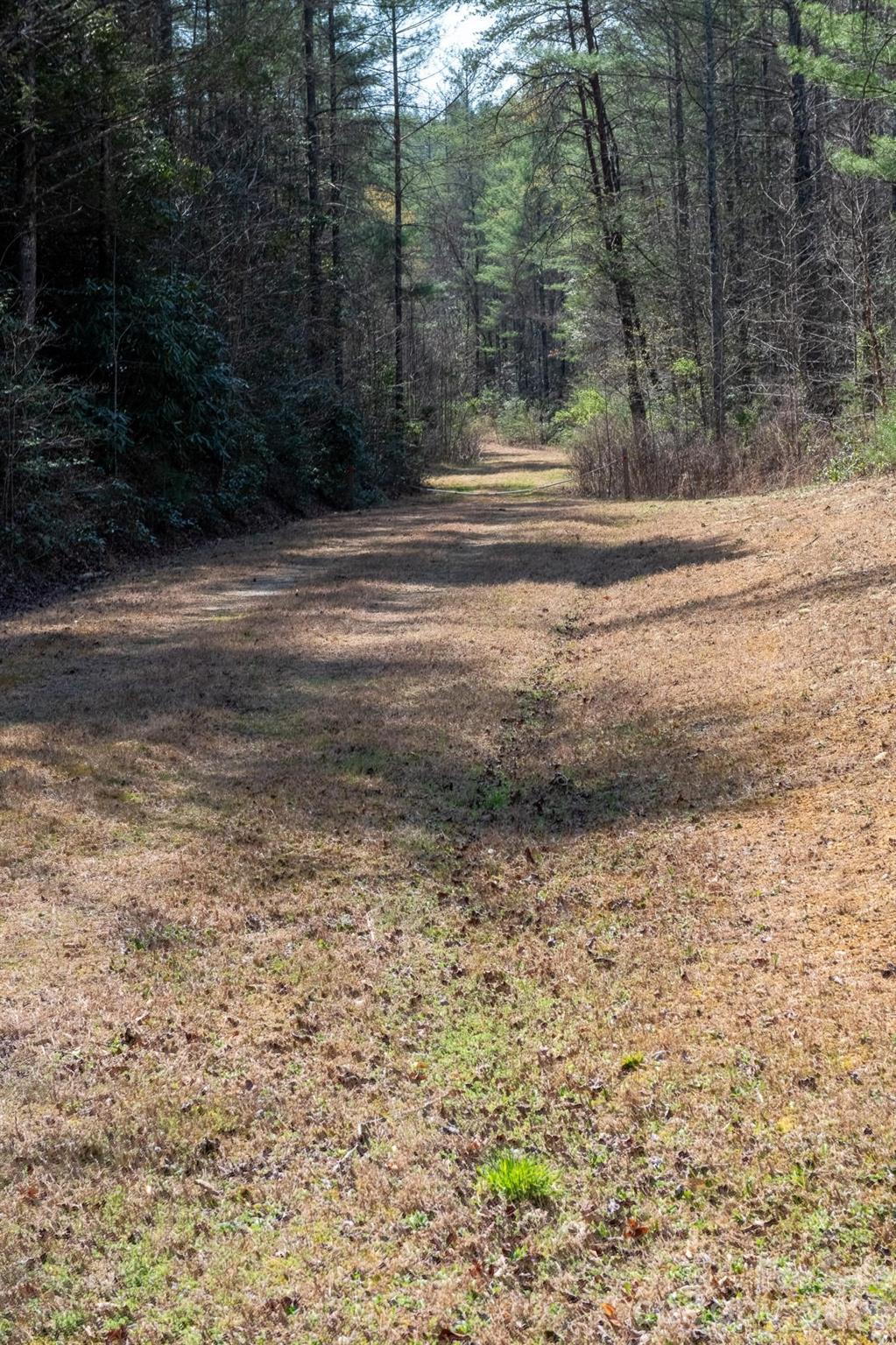 Tbd Tbd Ritter Ridge Lane, Unit 27 Hudson, NC 28638 - Photo 41 of 43 a view of a yard