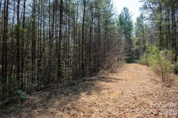 $44,900 | Tbd Tbd Ritter Ridge Lane, Unit 27, Hudson, NC 28638