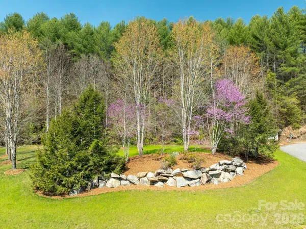 a view of a yard with an tree
