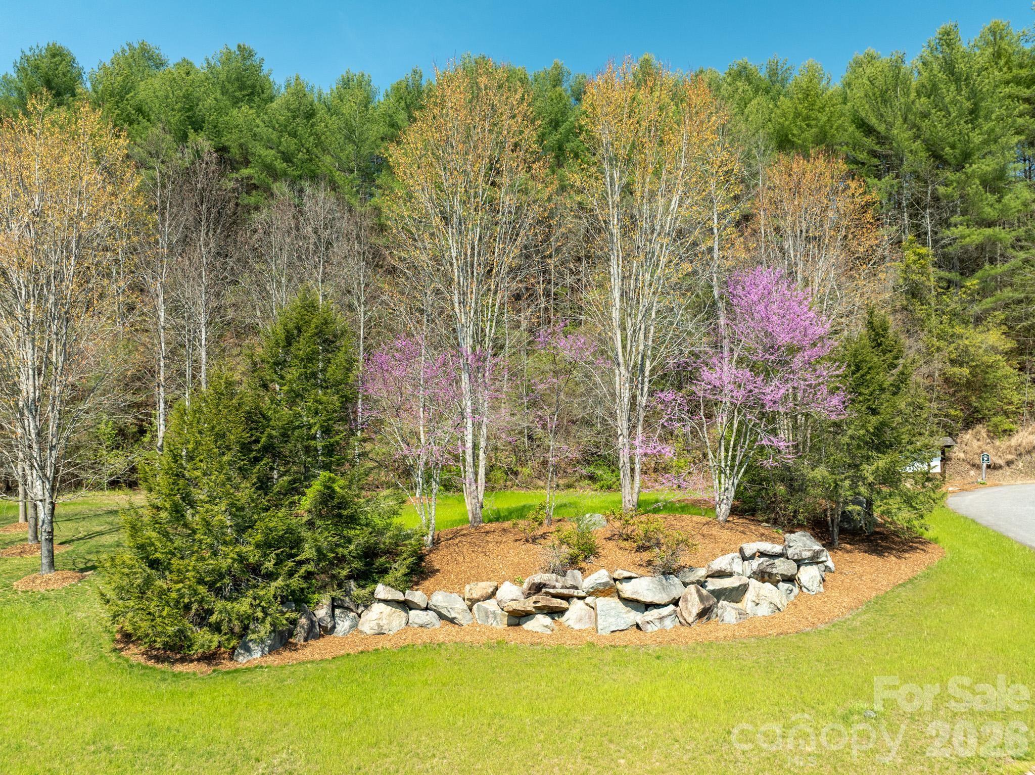 Tbd Tbd Ritter Ridge Lane, Unit 27 Hudson, NC 28638 - Photo 6 of 43 a view of a yard with an tree