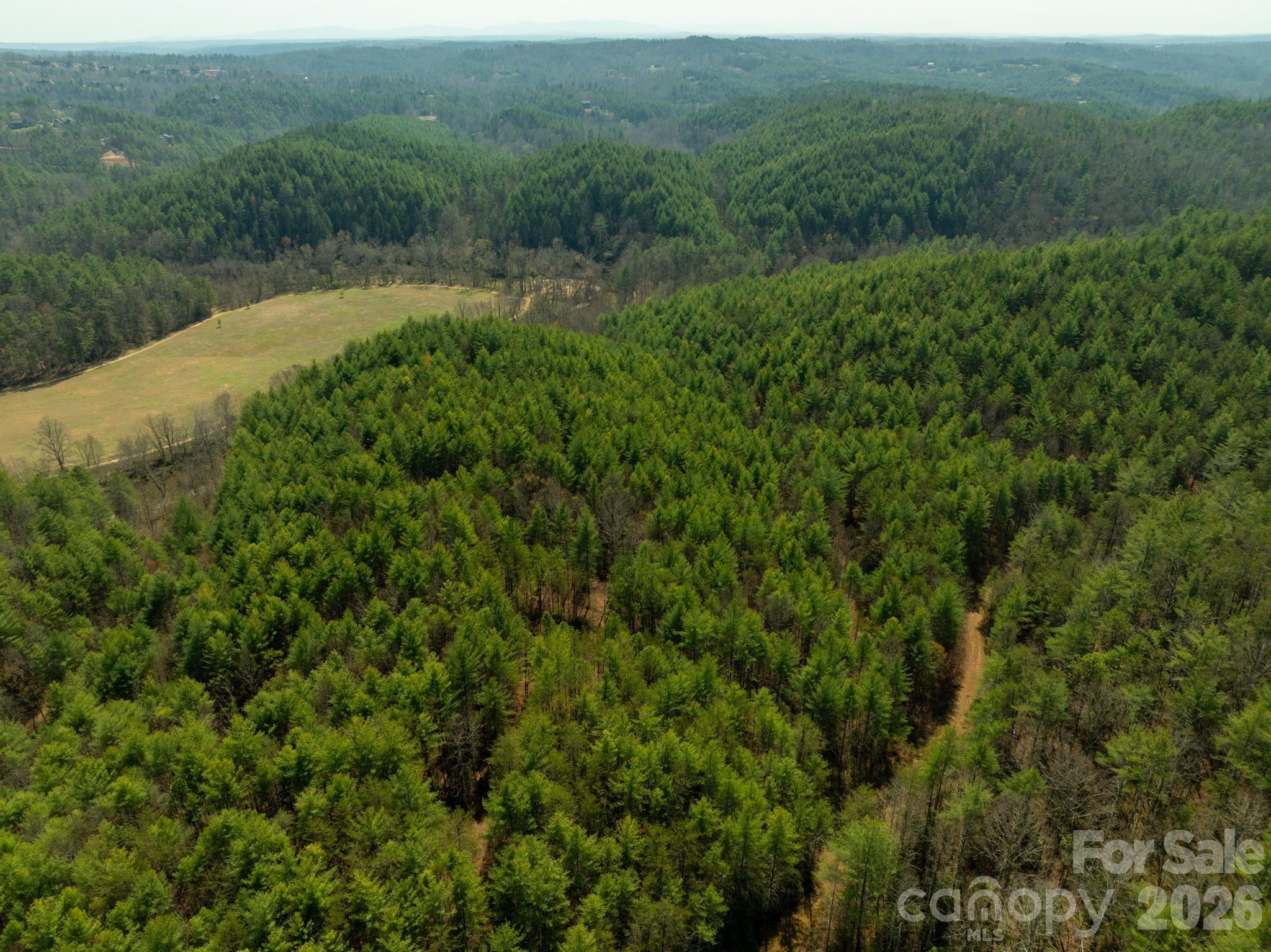 Tbd Tbd Ritter Ridge Lane, Unit 27 Hudson, NC 28638 - Photo 7 of 43 a view of a lush green forest with a forest