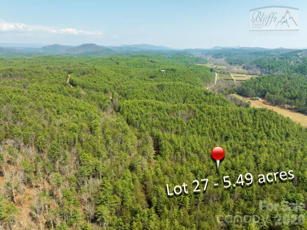 a view of a lush green field