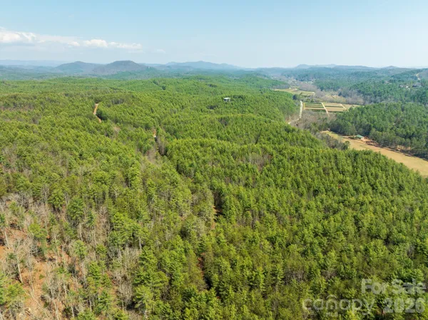 a view of a lush green outdoor space with a lake view