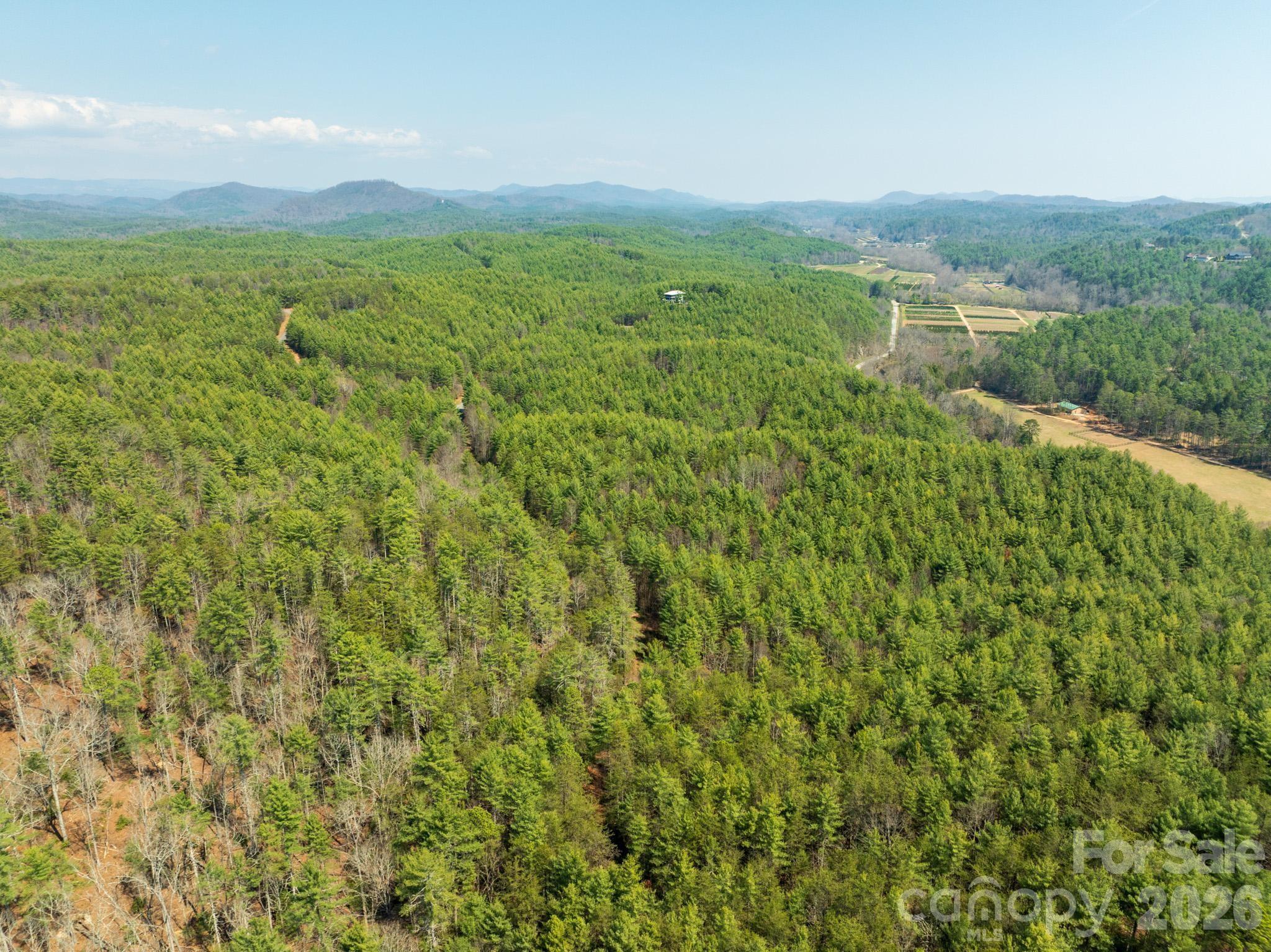 Tbd Tbd Ritter Ridge Lane, Unit 27 Hudson, NC 28638 - Photo 10 of 43 a view of a lush green outdoor space with a lake view