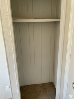 1265 North Corbonville Road, Unit 100 Price, UT 84501 - Photo 9 of 10 View of closet
