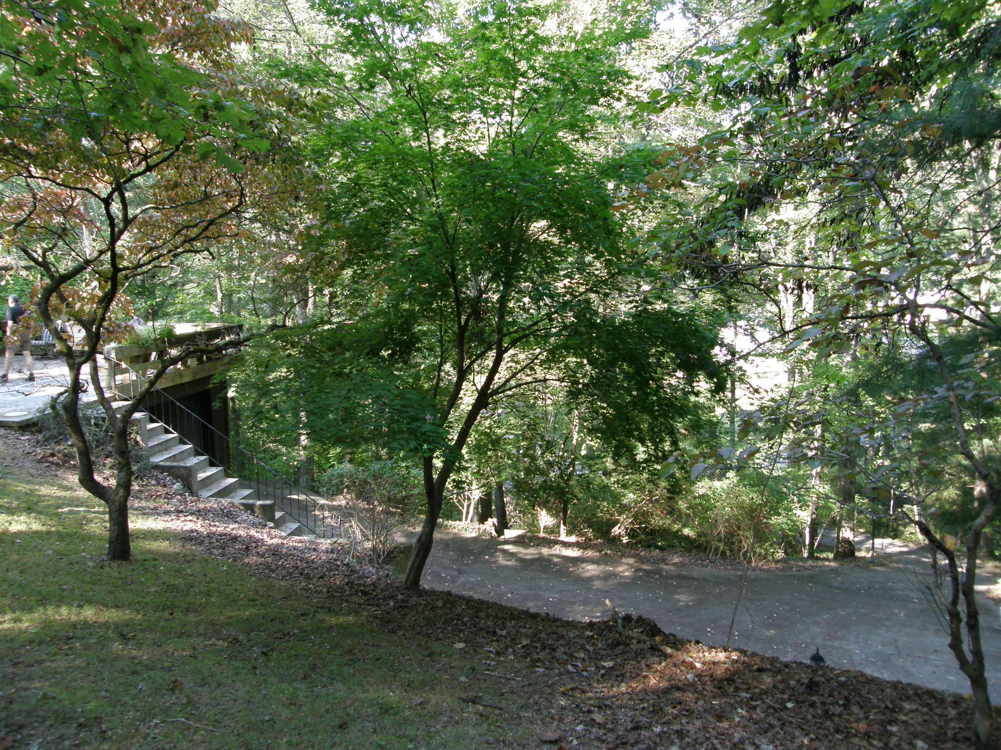 104 Ditman Lane Oak Ridge, TN 37830 - Photo 34 of 38 P1012209.JPG