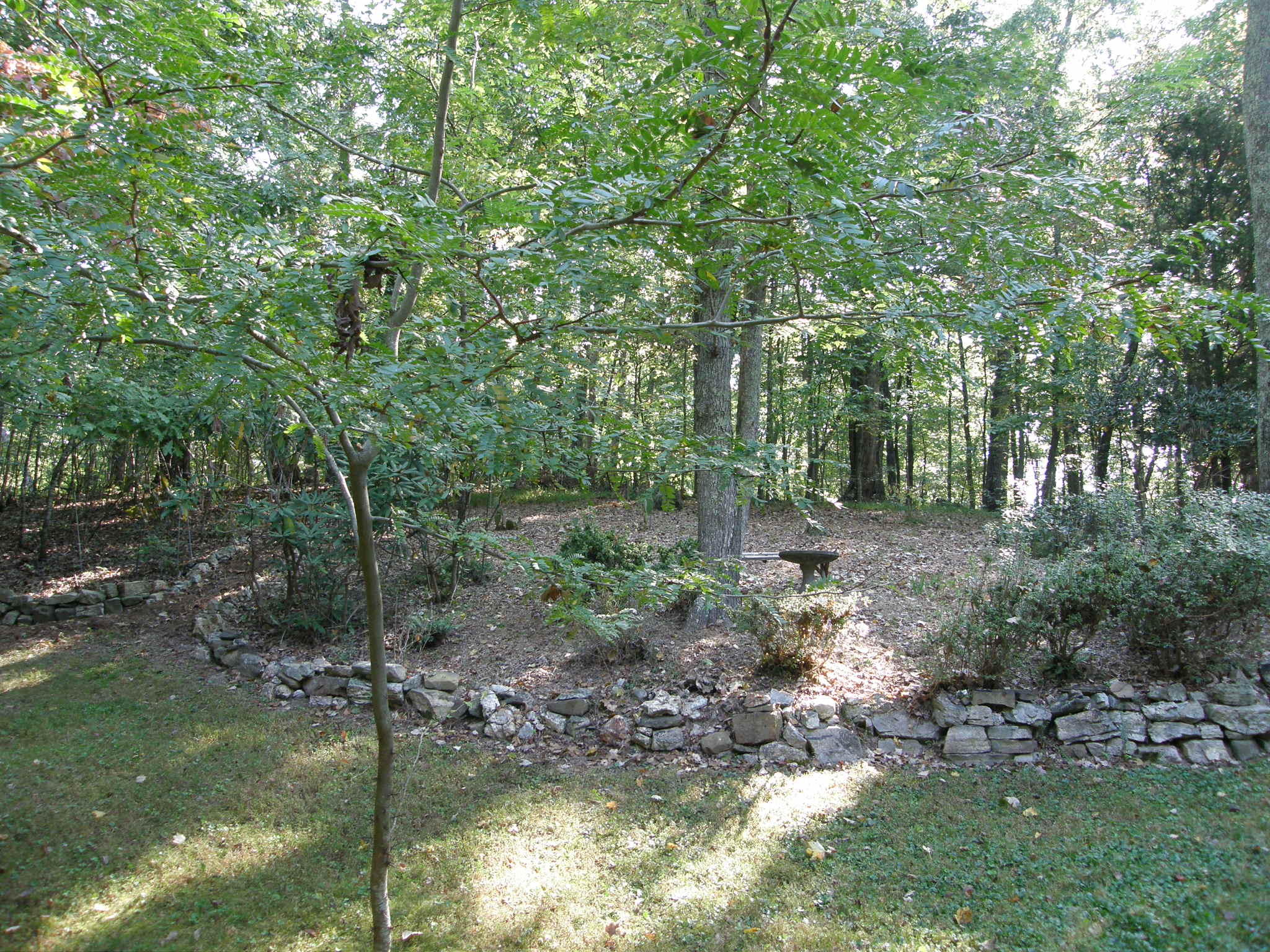 104 Ditman Lane Oak Ridge, TN 37830 - Photo 38 of 38 P1012211.JPG