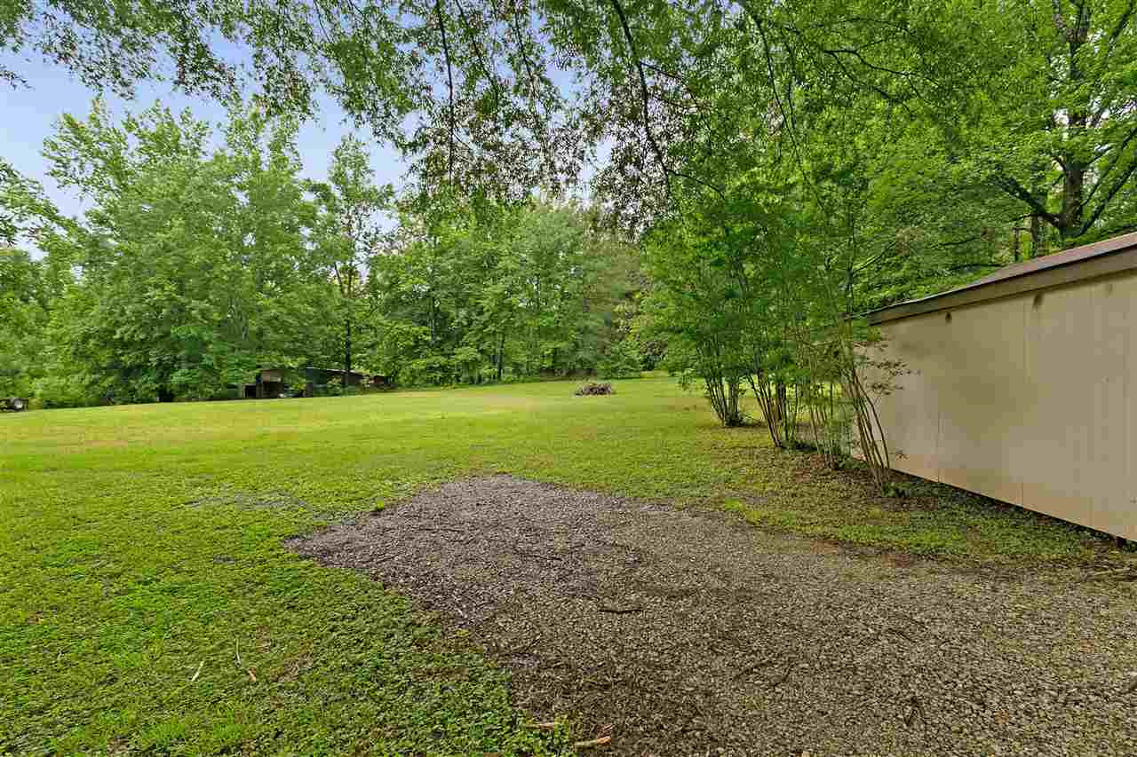58 John Brown Road Beech Bluff, TN 38313 - Photo 16 of 18 a view of a trees with a yard