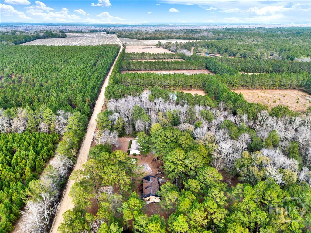 406 Porter's Landing Road Clyo, GA 31303 - Photo 23 of 24