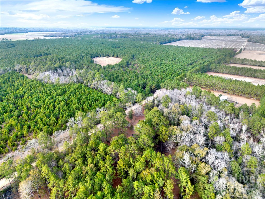 406 Porter's Landing Road Clyo, GA 31303 - Photo 24 of 24