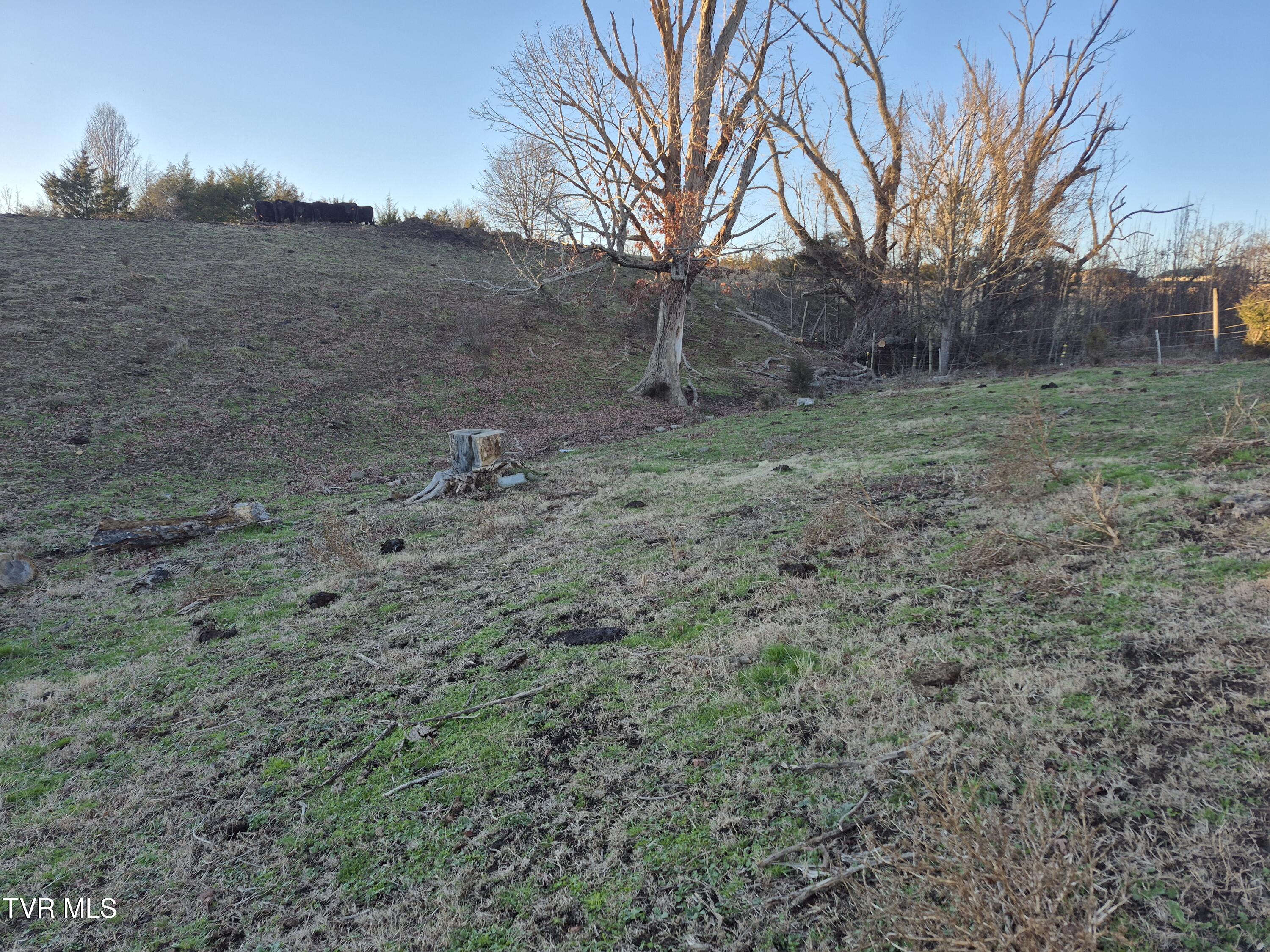 0 Kite Lane Mosheim, TN 37818 - Photo 2 of 5 00 Kite 2