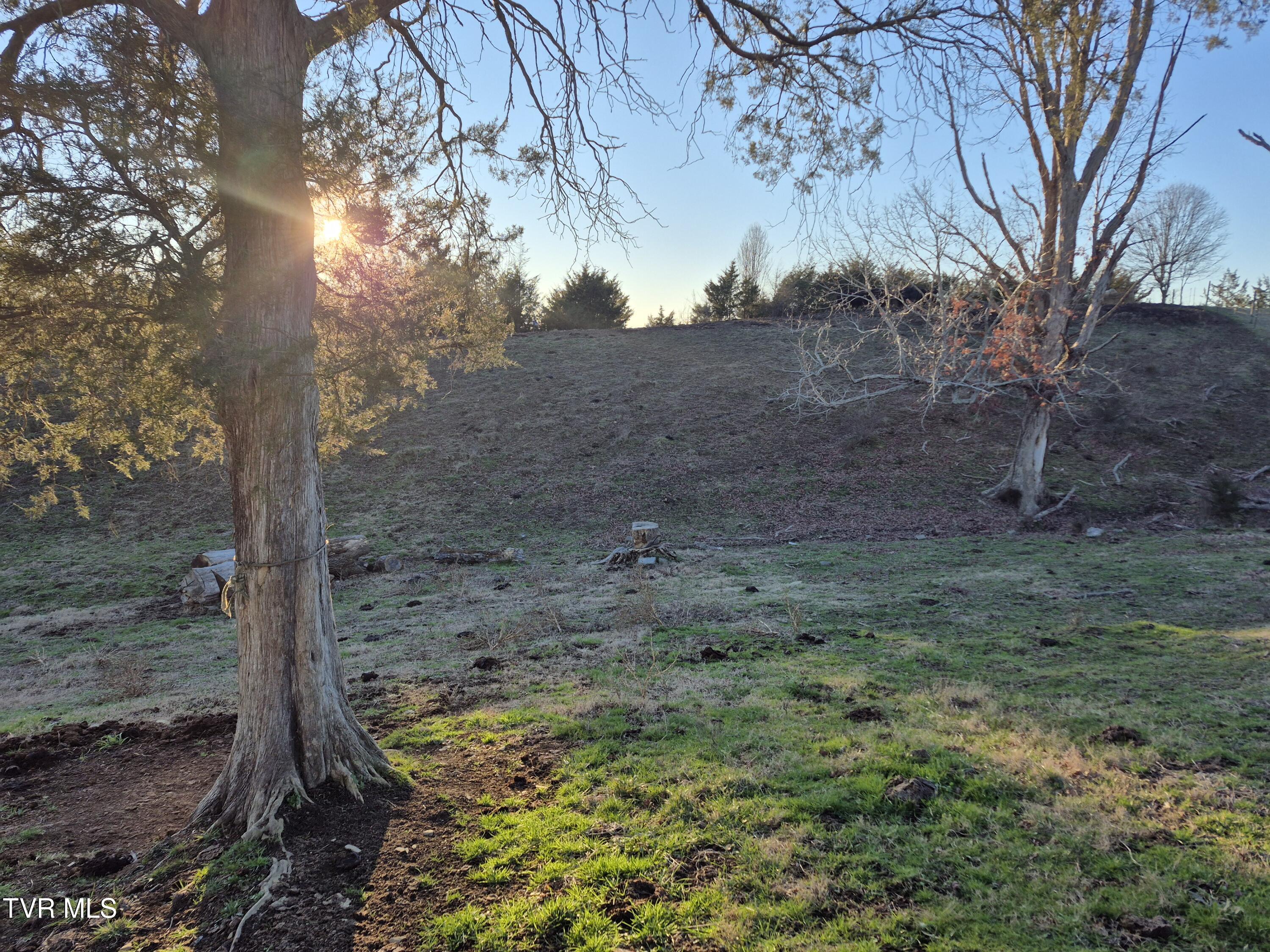 0 Kite Lane Mosheim, TN 37818 - Photo 4 of 5 00 Kite 4