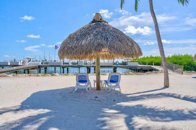 a view of a patio with a table and chairs under an umbrella with palm trees