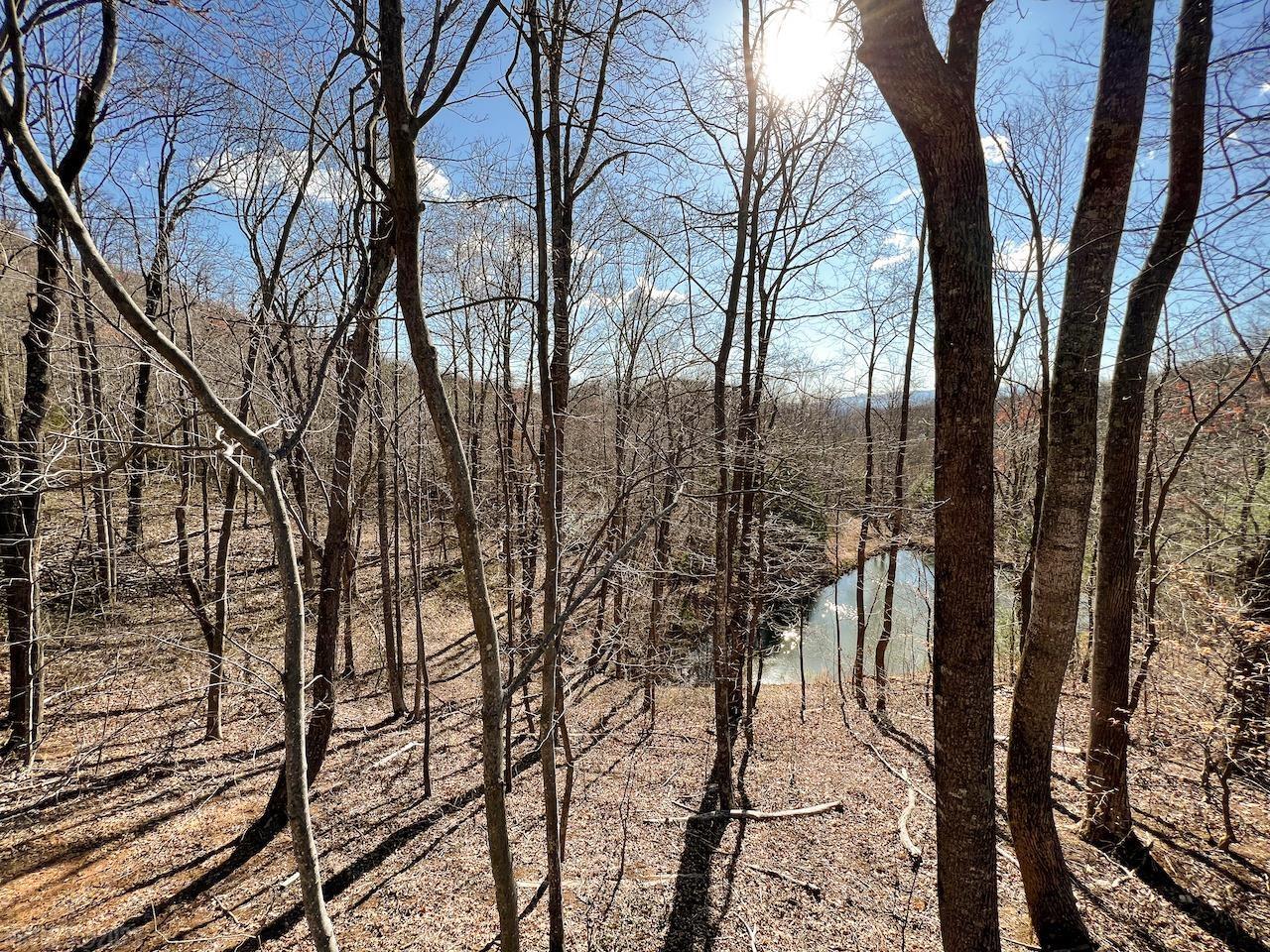 0 Brammer Spur Road Woolwine, VA 24185 - Photo 27 of 39 Gallery Image 27