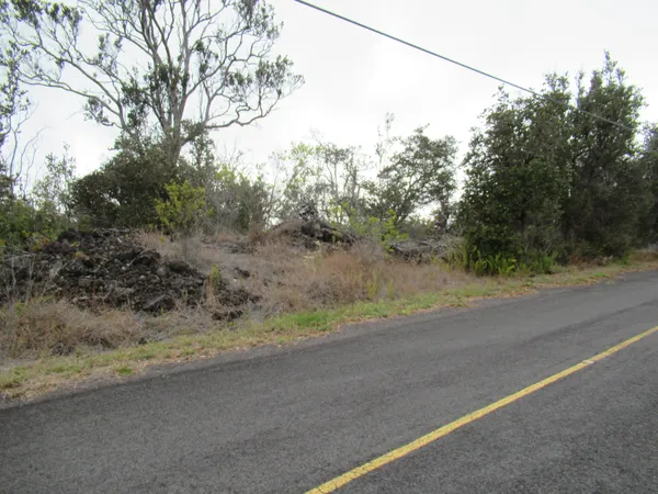 a view of a yard with a road