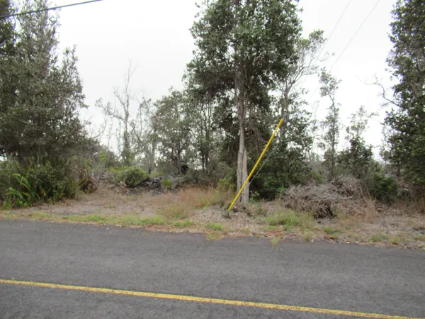 a view of a road with a tree