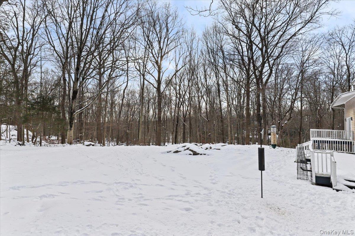 28 Cradle Rock Road Pound Ridge, NY 10576 - Photo 28 of 30 Backyard