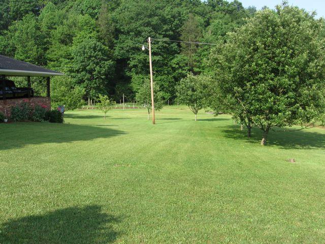 3601 Conner Grove Road Southwest Willis, VA 24380 - Photo 3 of 10 a view of a park with a house in the background