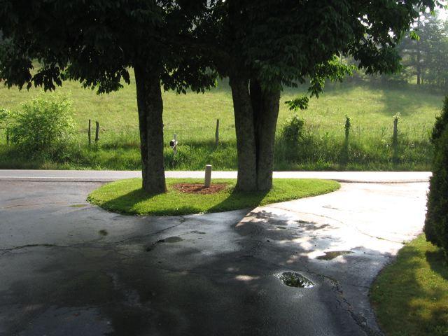 3601 Conner Grove Road Southwest Willis, VA 24380 - Photo 4 of 10 a view of a park with a tree