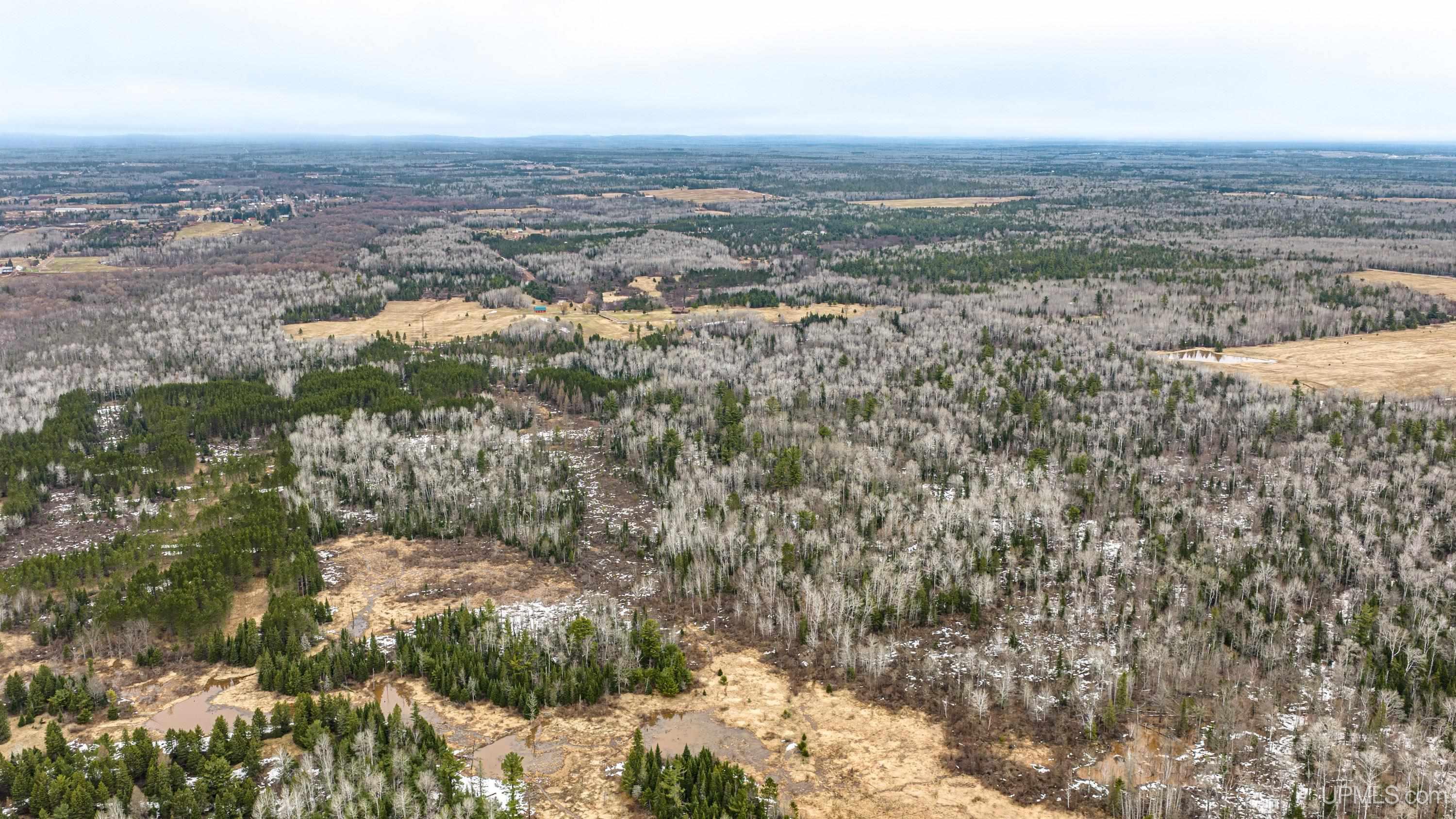 Tbd Off Of Choate Road, Unit NO INSURABLE LEGAL ACCESS Ewen, MI 49925 - Photo 22 of 30