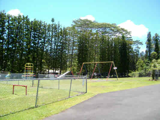 670 Holiday Road Pahoa, HI 96778 - Photo 2 of 4 Gallery Image 2