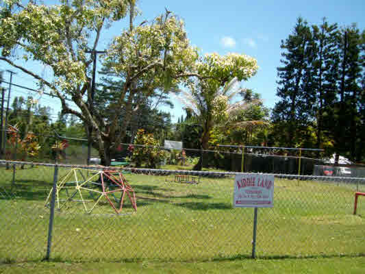 670 Holiday Road Pahoa, HI 96778 - Photo 3 of 4 Gallery Image 3