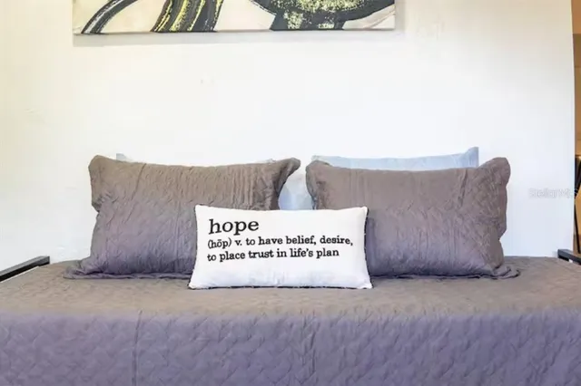 $3,000 | Undisclosed Address, Orlando, FL 32806