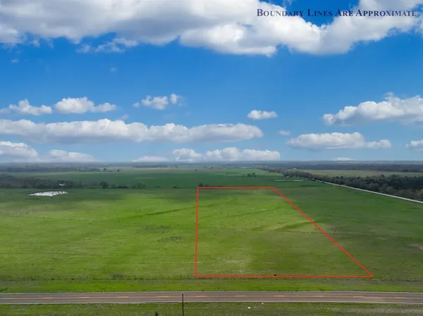 a view of a field
