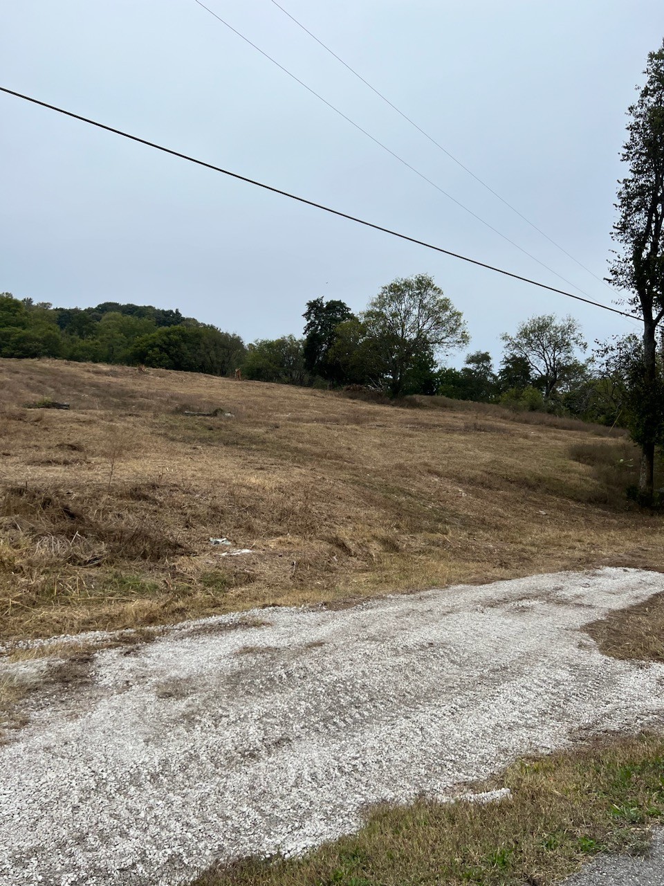 2921 Spring Place Belfast, TN 37019 - Photo 2 of 3 a view of a lake