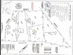 2921 Spring Place Belfast, TN 37019 - Photo 3 of 3 a black and white photo of a painting