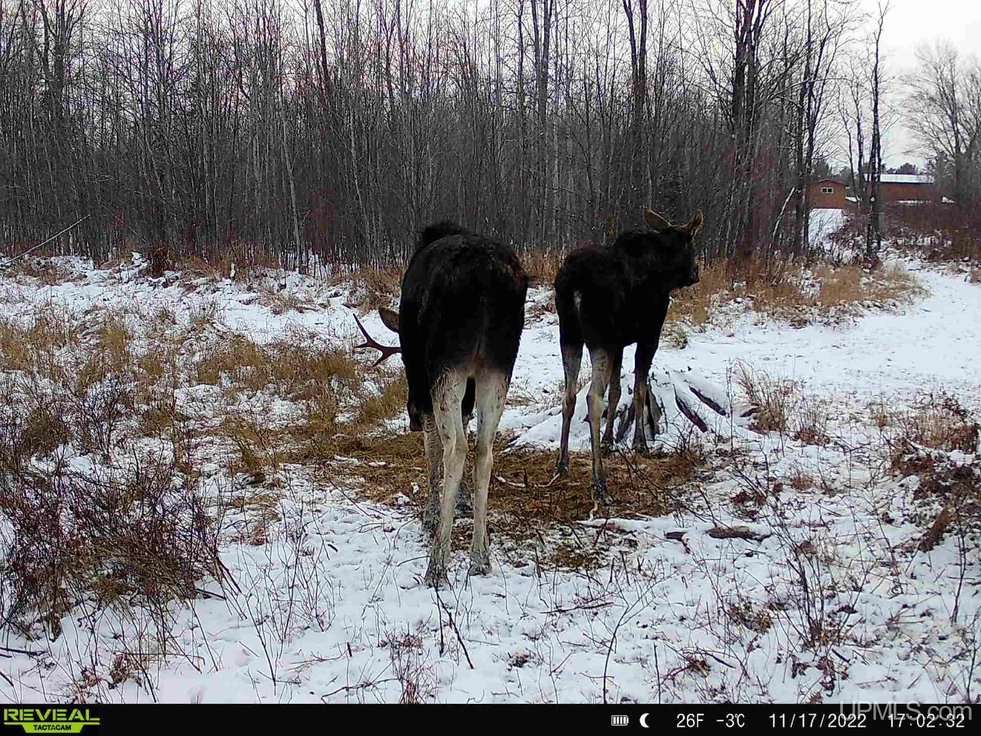 6072 Big Lick Lake Road Ishpeming, MI 49849 - Photo 46 of 90