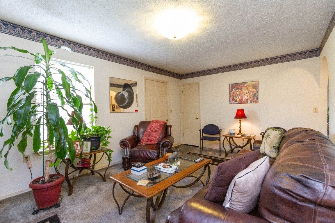 256 Atkinson Road Lebanon, TN 37090 - Photo 13 of 34 a living room with furniture and a potted plant