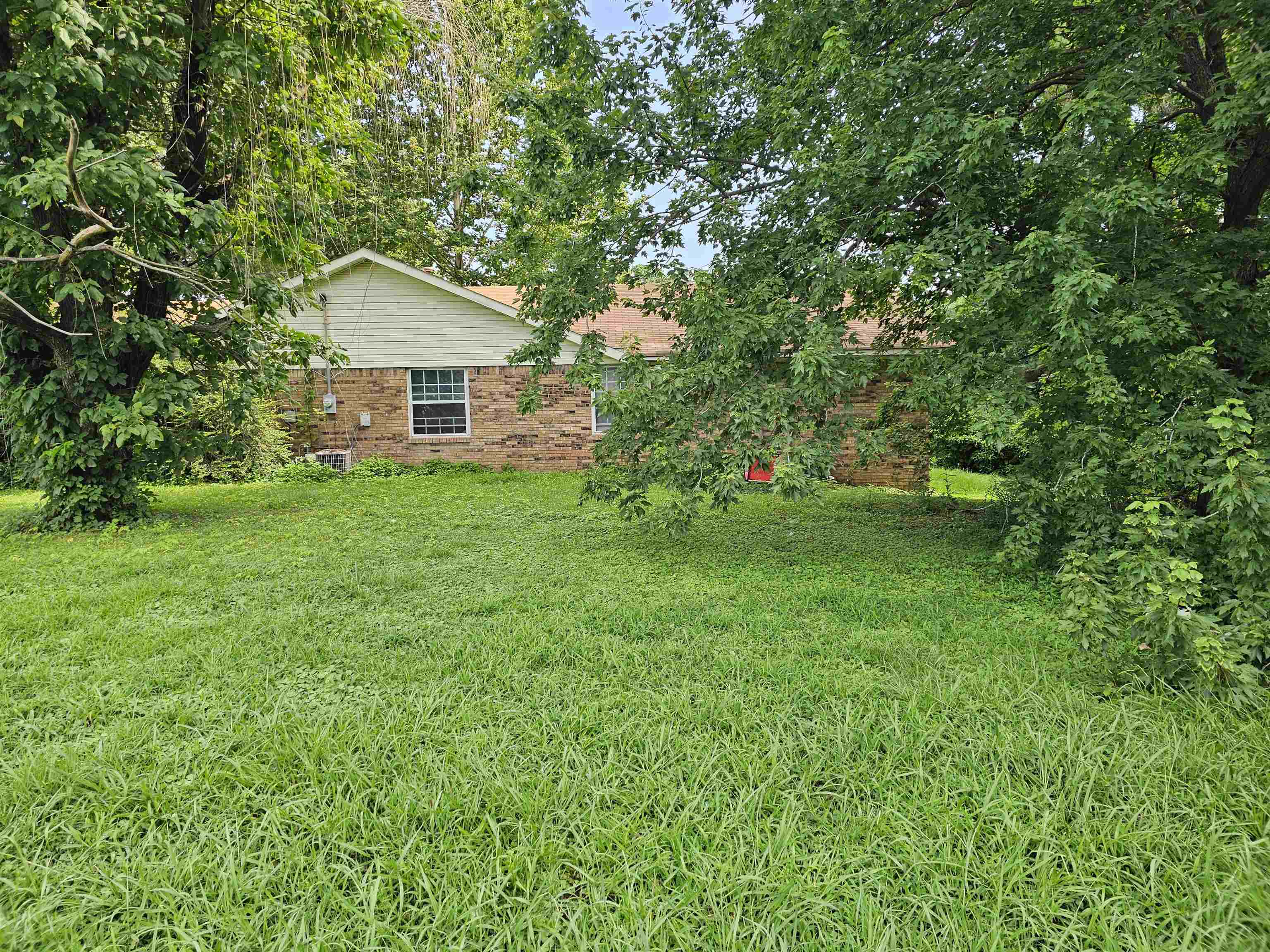 View of grassy yard