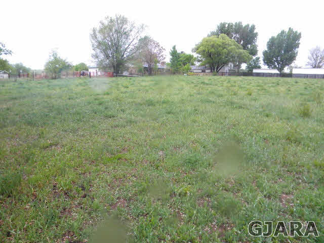 343 33 Road Palisade, CO 81526 - Photo 3 of 20 Gallery Image 3